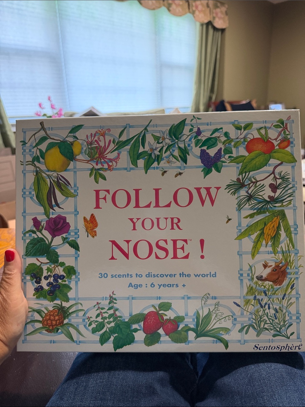 Follow Your Nose! Scent Discovery Game